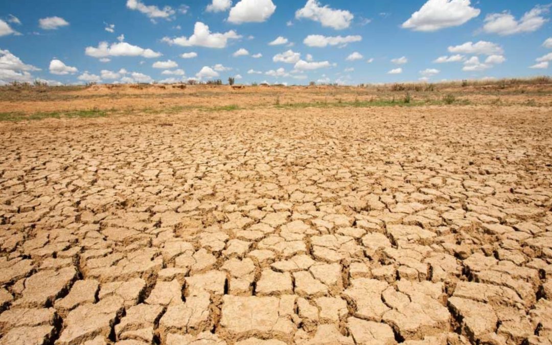 How Is Climate Change Impacting Insurance?